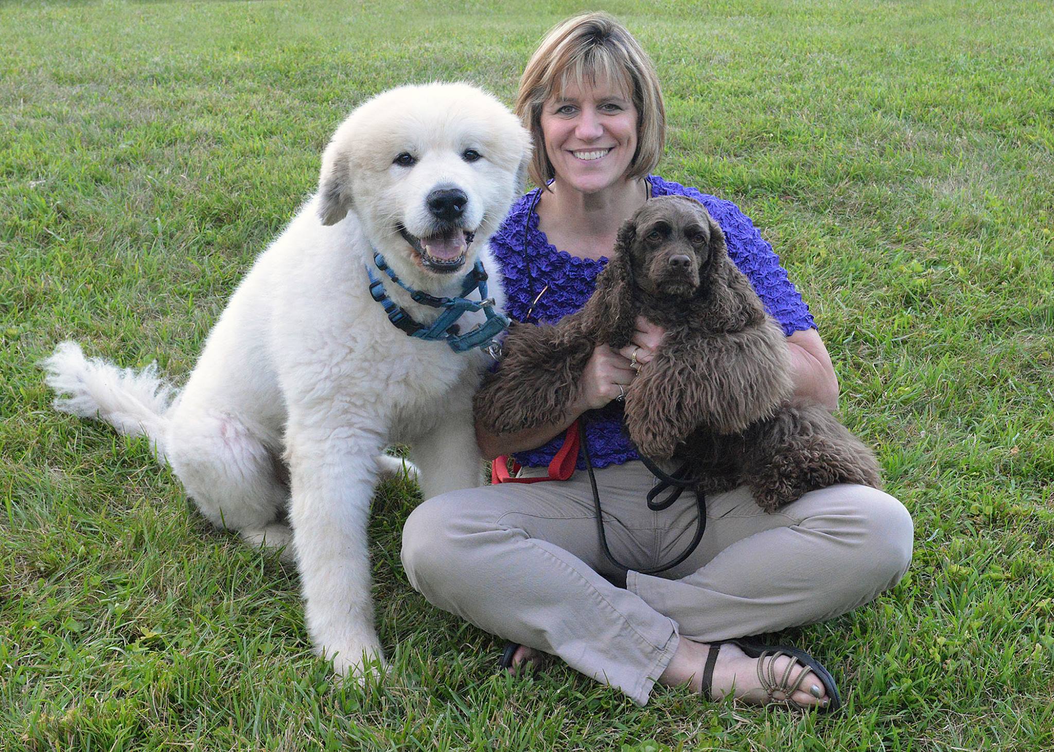 Logo for Aunt Penny's Pet Sitting LLC